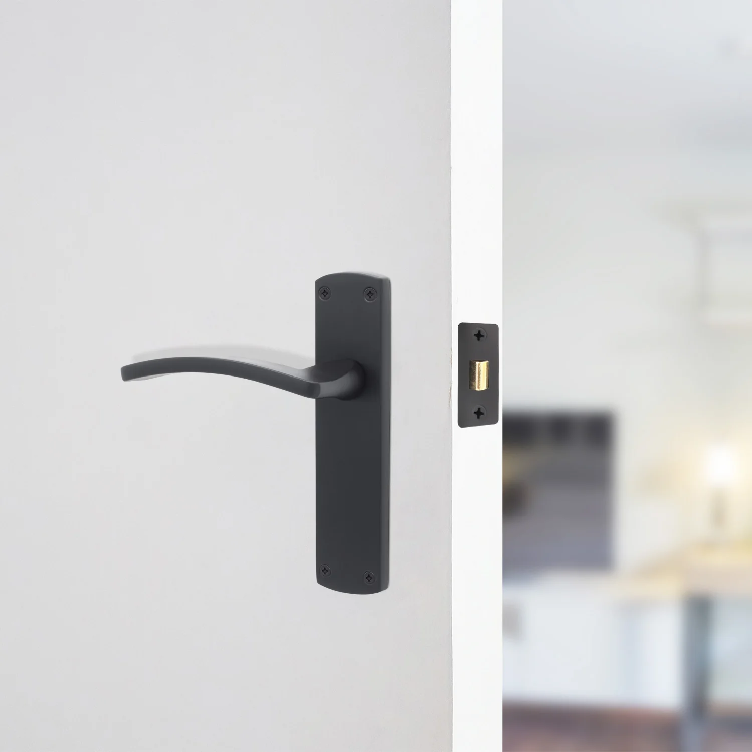 Euroda-Plus Black Door Handle Pack - Latch - Image 6
