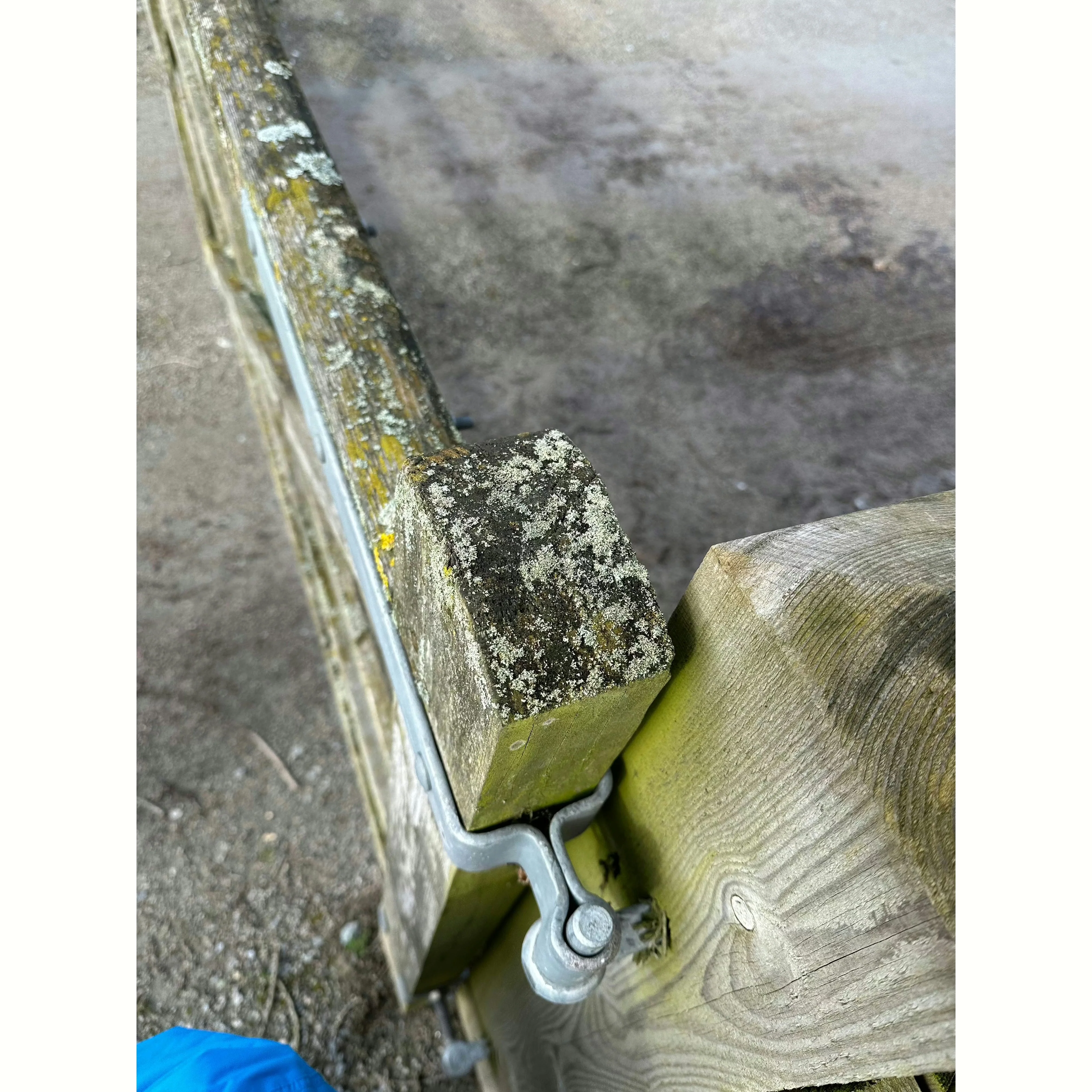 Field Gate Hinge Set Double Strap Adjustable Hook to Drive - (24" / 600mm) - Hot Dip Galvanised - Image 7
