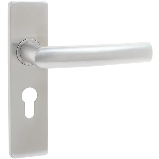 Lunar Lever On Backplate - Euro Profile - 172 x 44mm - Satin Stainless Steel