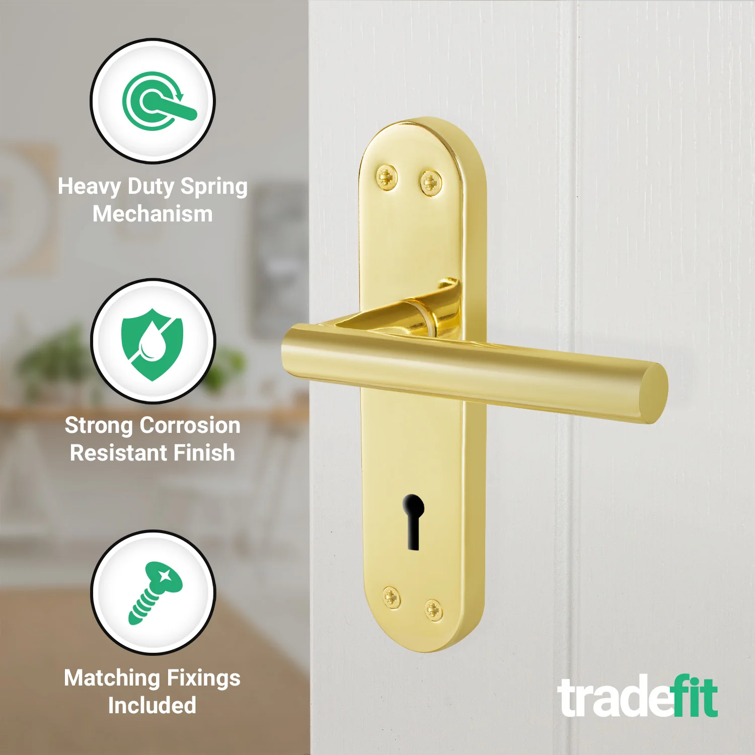 Olbia Brass Plated Lever on Backplate Door Handles - Keyhole - Image 3